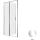 Душевая дверь Allen Brau Priority 100 3.31028.00 хром