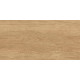 GT220VG Керамогранит Florida бежевый матовый 30x60