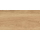 GT220VG Керамогранит Florida бежевый матовый 30x60