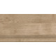 ST211VG Ступень Nostrum бежевая неполированная 30x60