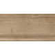 ST211VG Ступень Nostrum бежевая неполированная 30x60