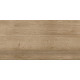 ST211VG Ступень Nostrum бежевая неполированная 30x60