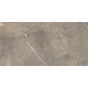 GT122VG Плитка настенная Siluet коричневая глянцевая 25x50
