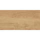 GT220VG Керамогранит Florida бежевый матовый 30x60
