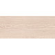 10100001340 Плитка настенная Eco Wood светло-бежевая 01 матовая 25x60