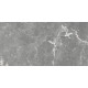 GT99VG Плитка настенная Capella серая глянцевая 25x50