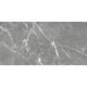 GT99VG Плитка настенная Capella серая глянцевая 25x50
