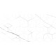 GT124VG Декор Siluet белый  глянцевая 25x50