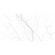 GT124VG Декор Siluet белый  глянцевая 25x50