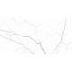 GT124VG Декор Siluet белый  глянцевая 25x50