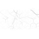 GT124VG Декор Siluet белый  глянцевая 25x50