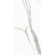 GT120605503PR Керамогранит Angel Statuario белый полированный 60x120